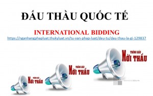 Bài giảng - Đấu thầu Quốc tế