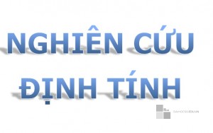 Hướng dẫn phương pháp nghiên cứu khoa học định tính