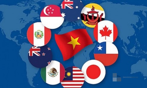 HỘI NHẬP KINH TẾ CỦA VIỆT NAM